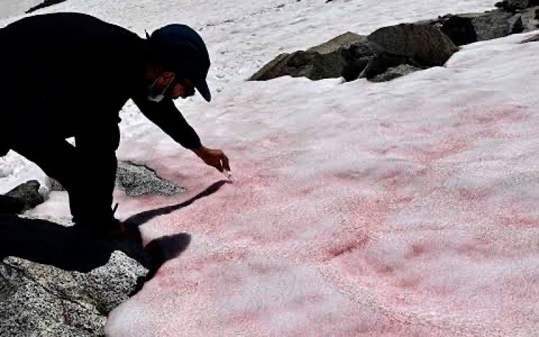Розовый лед в альпах