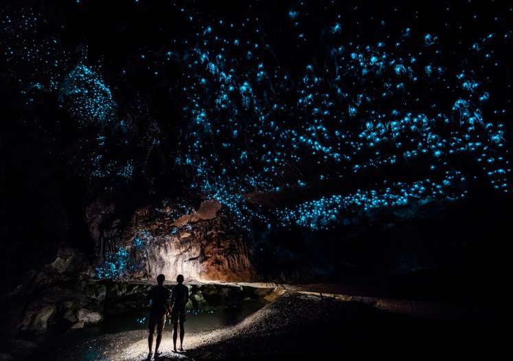 Светящиеся пещера в Новой Зеландии