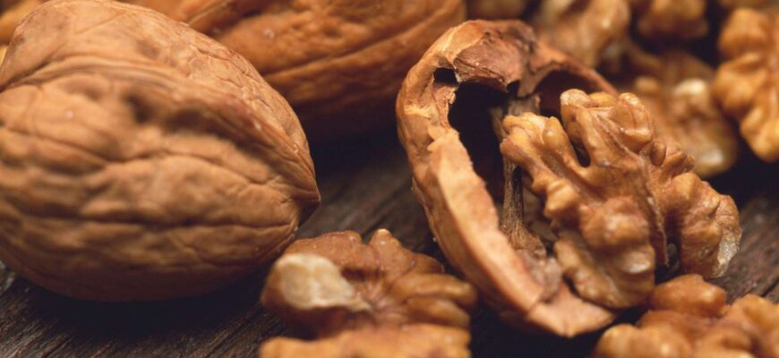 Польза орехов для организма человека - здоровье