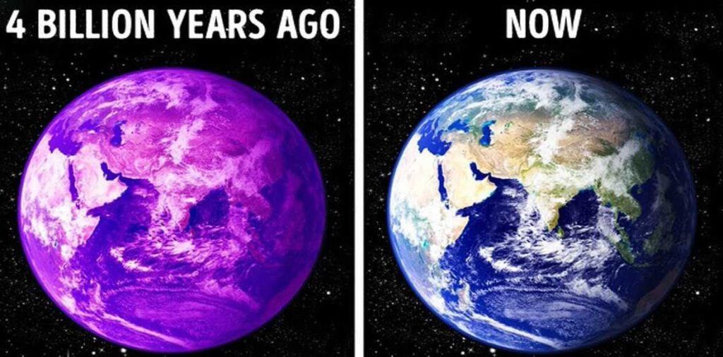Раньше Земля была фиолетовой