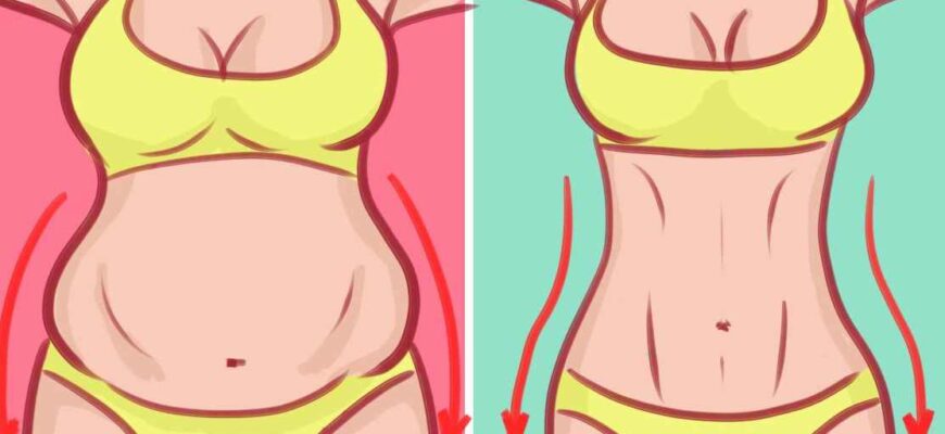 Куда исчезает телесный жир, когда мы худеем?