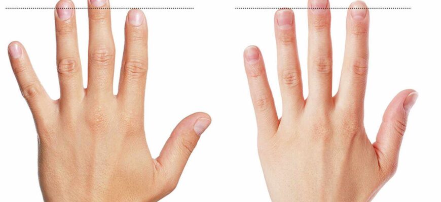 Сравните длину пальцев и выясните