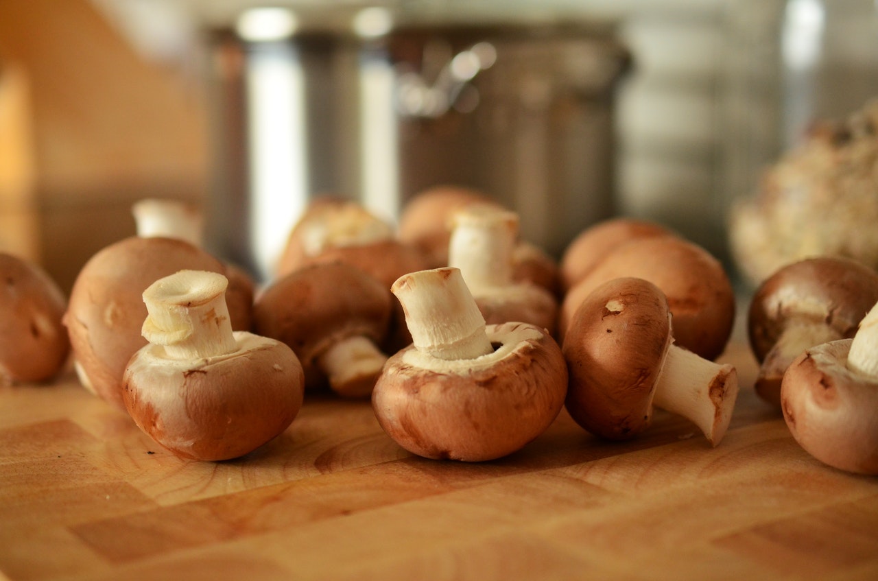 5 интересных фактов о грибах