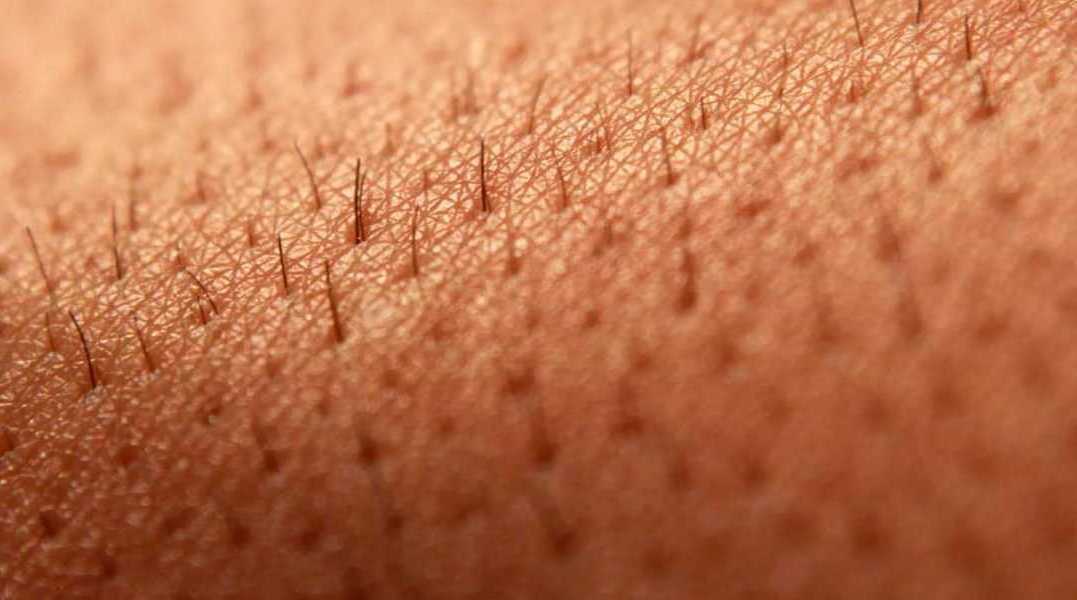 10 интересных фактов о коже человека