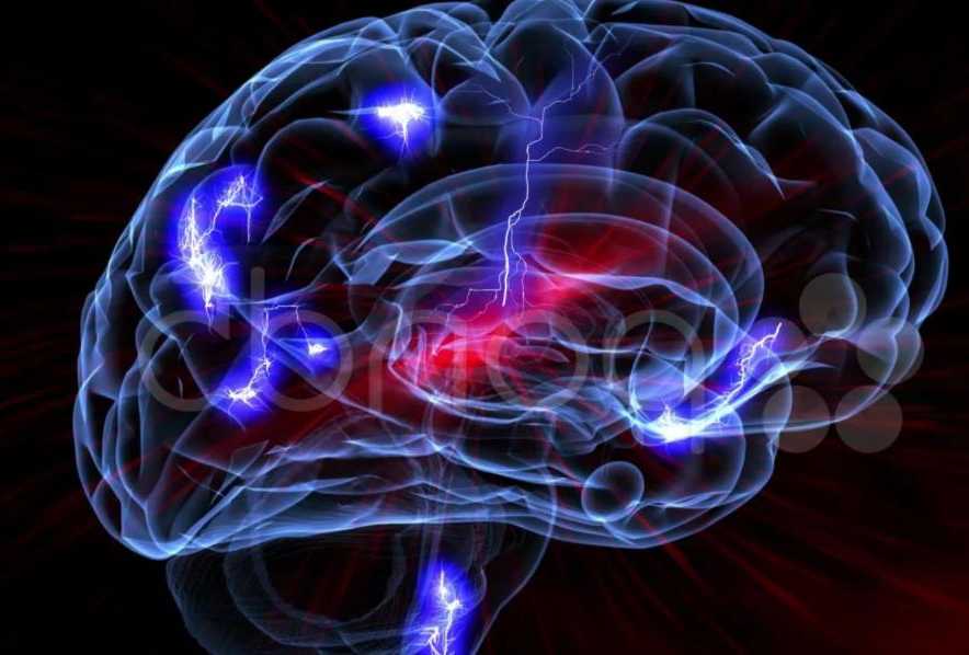 11 интересных фактов о человеческом мозге