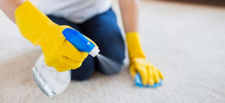 Как поддерживать ковры чистыми