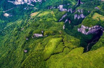 В Китае обнаружили огромную карстовую яму, в которой находится «древний лес»