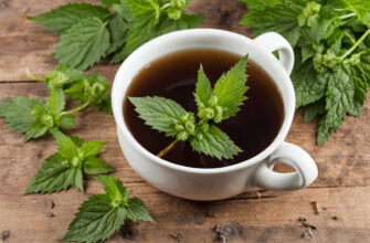 8 Причин пить чай из крапивы: Зеленое золото для здоровья и красоты
