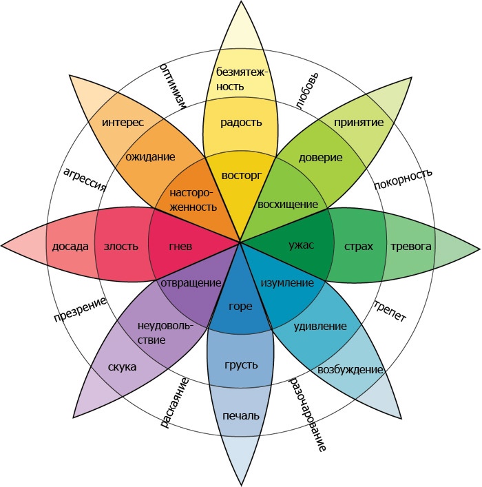 8 основных эмоций по Колесу Плутчика: что они значат и как с ними работать